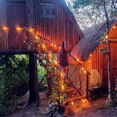 Sanctuaria Treehouses Busuanga Eksteriør bilde