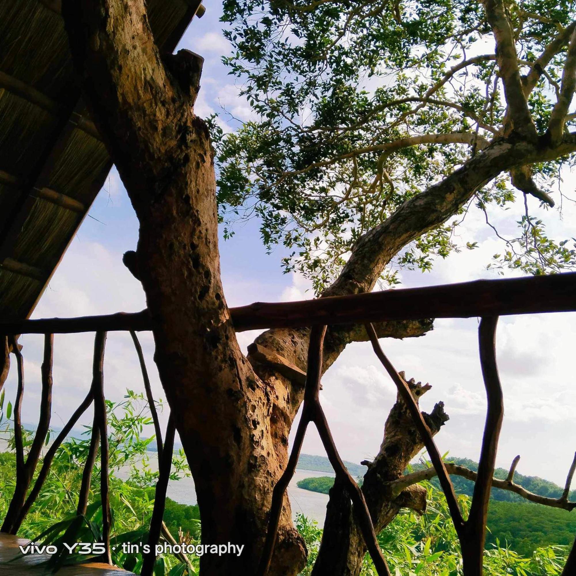 Sanctuaria Treehouses Busuanga Eksteriør bilde