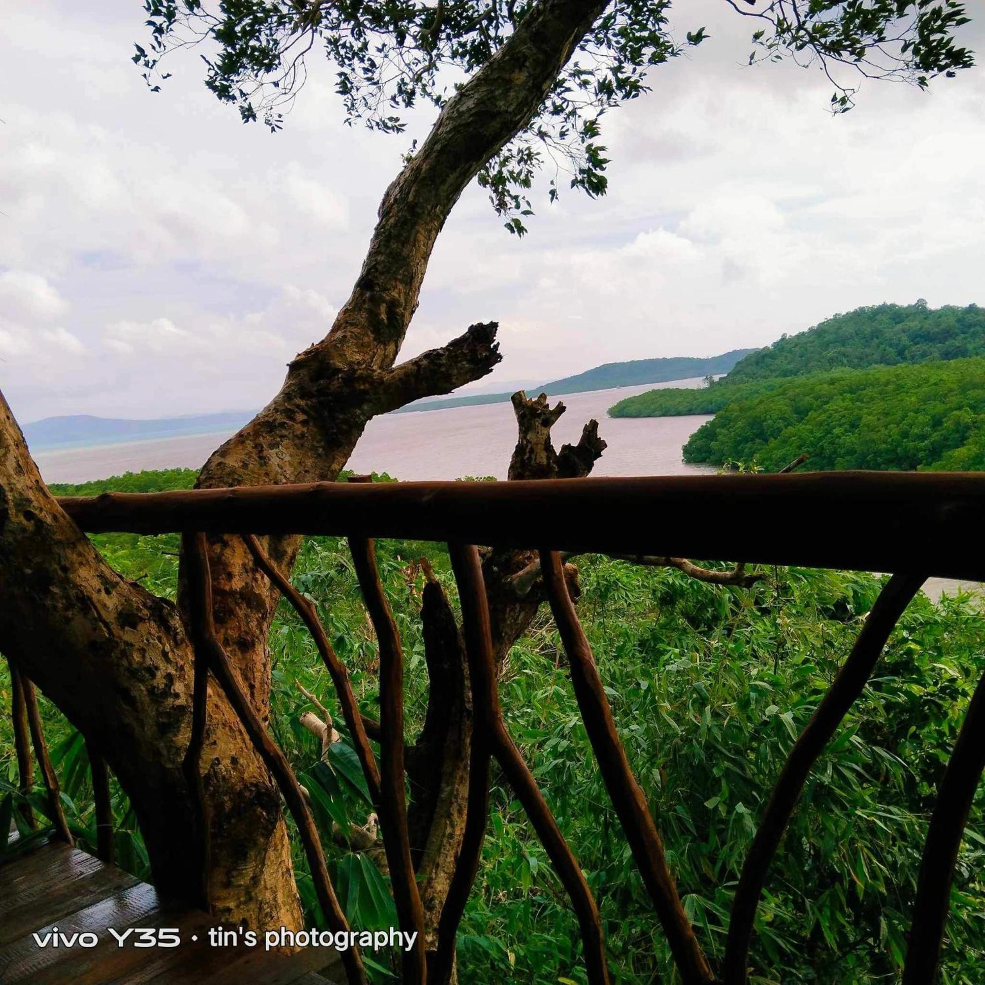 Sanctuaria Treehouses Busuanga Eksteriør bilde