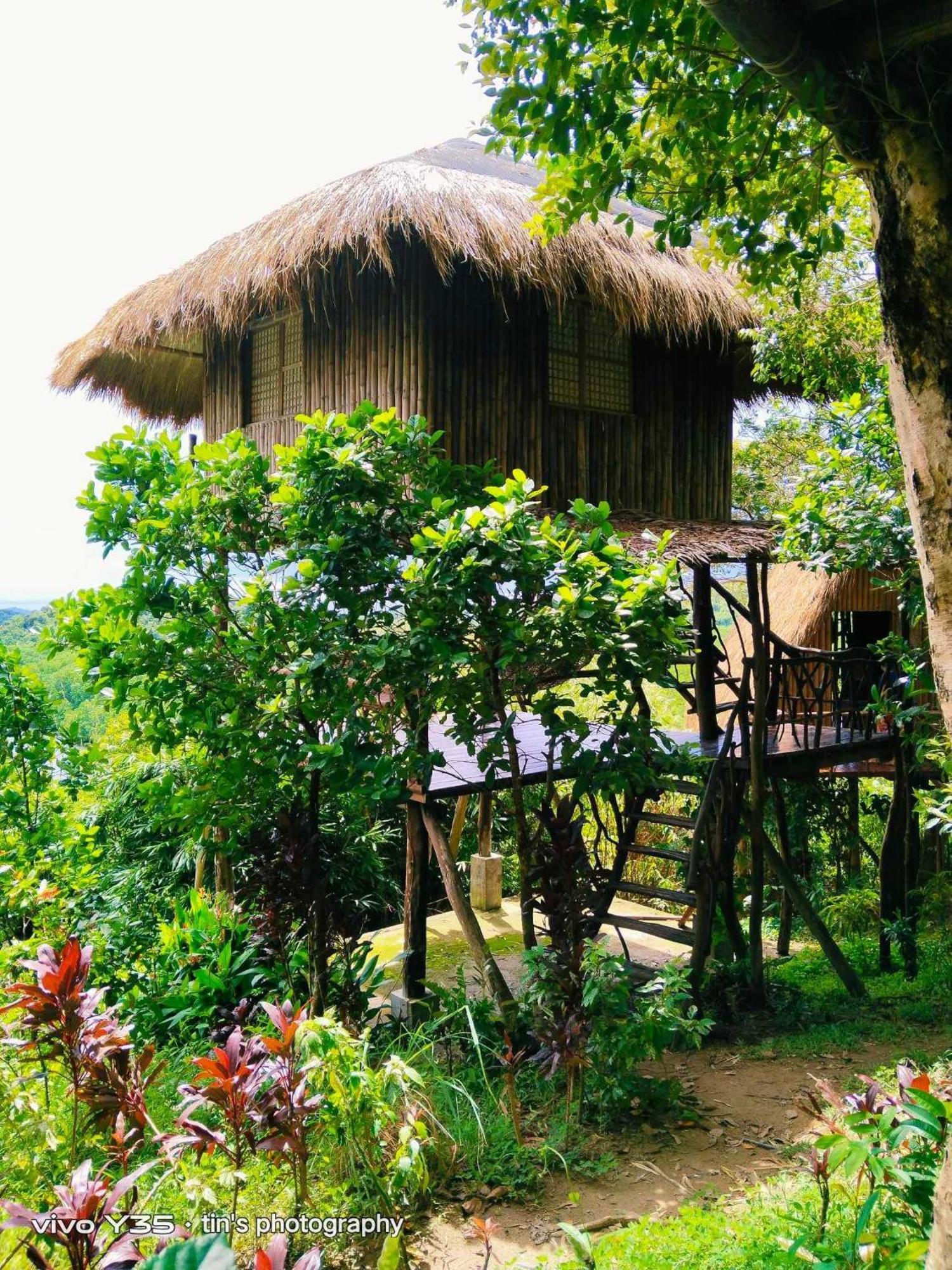 Sanctuaria Treehouses Busuanga Eksteriør bilde