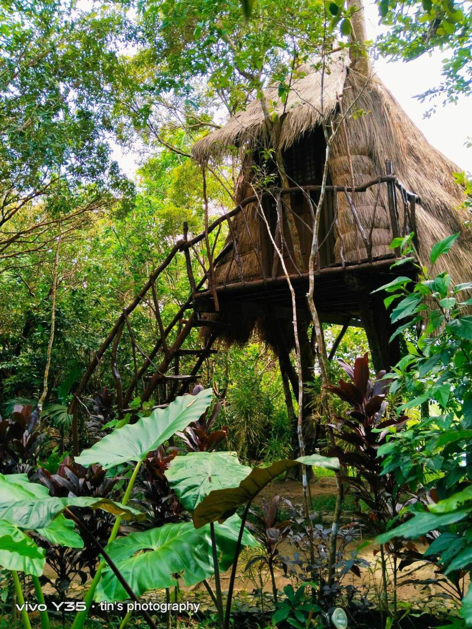 Sanctuaria Treehouses Busuanga Eksteriør bilde
