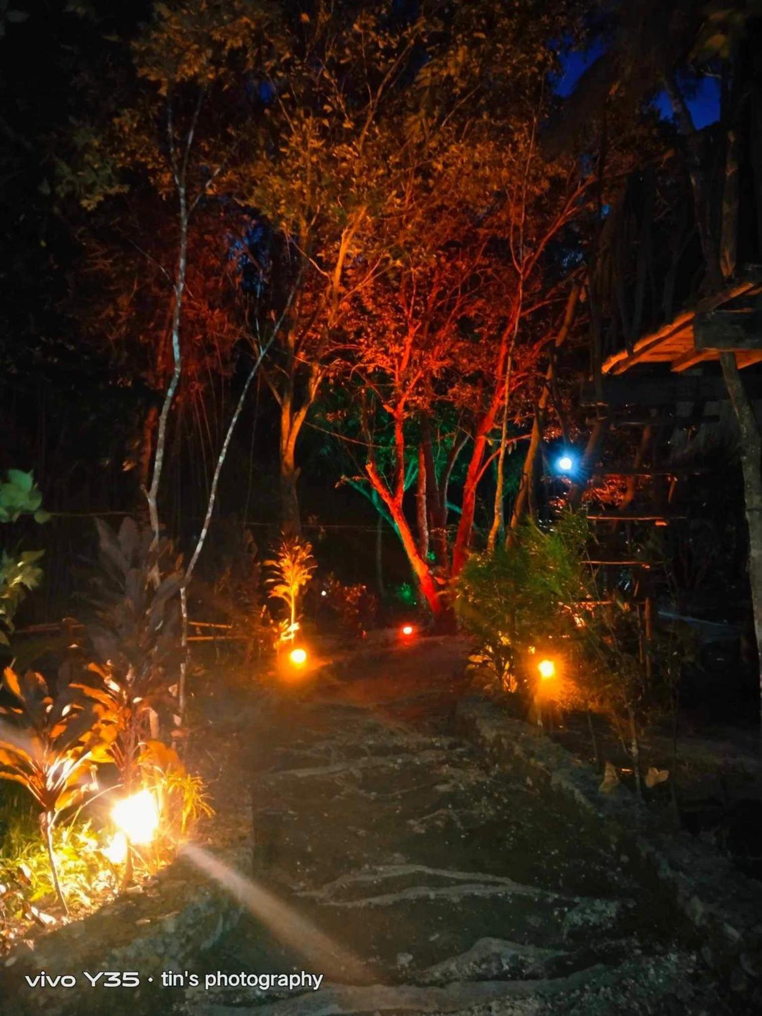 Sanctuaria Treehouses Busuanga Eksteriør bilde