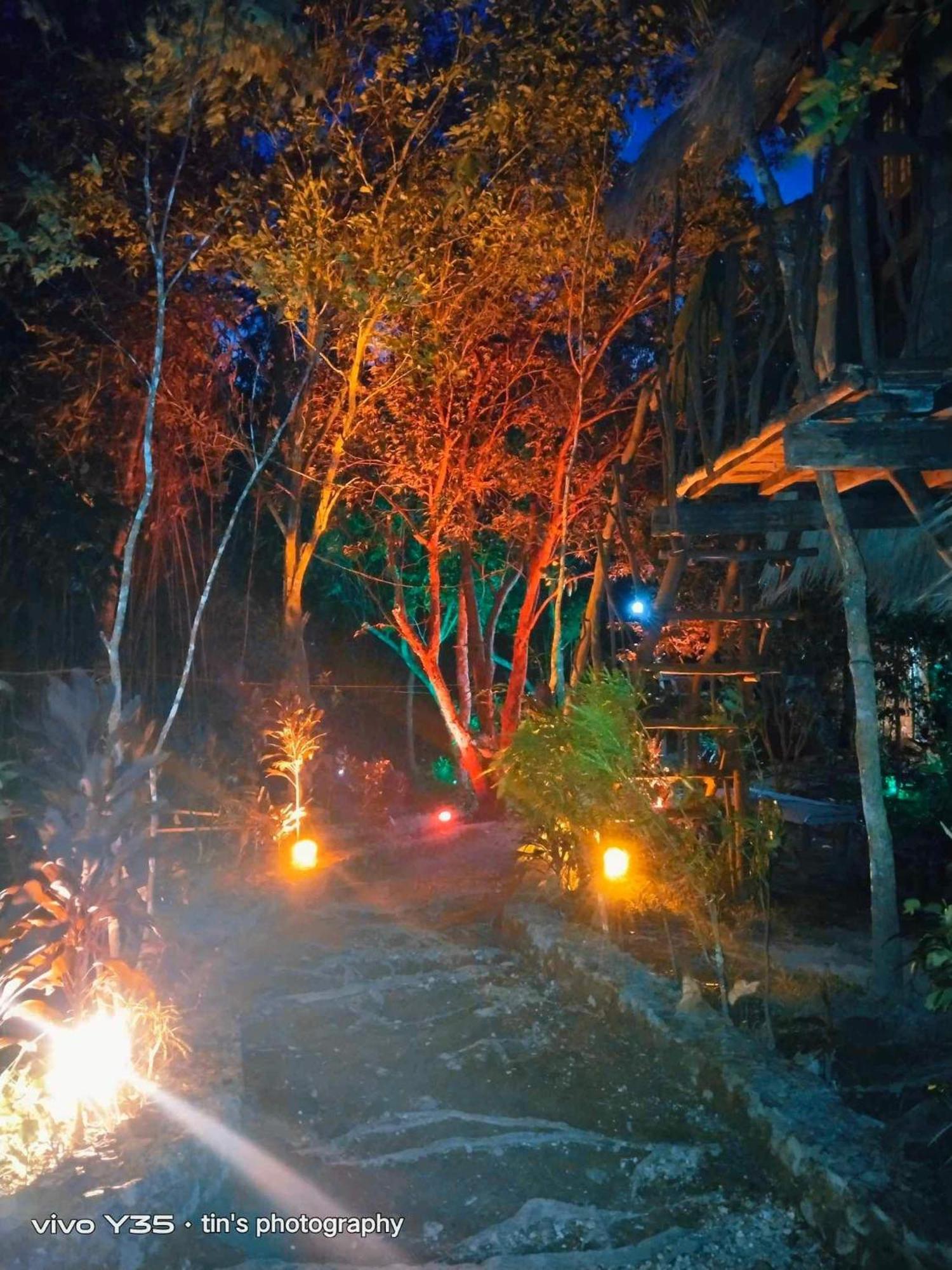Sanctuaria Treehouses Busuanga Eksteriør bilde