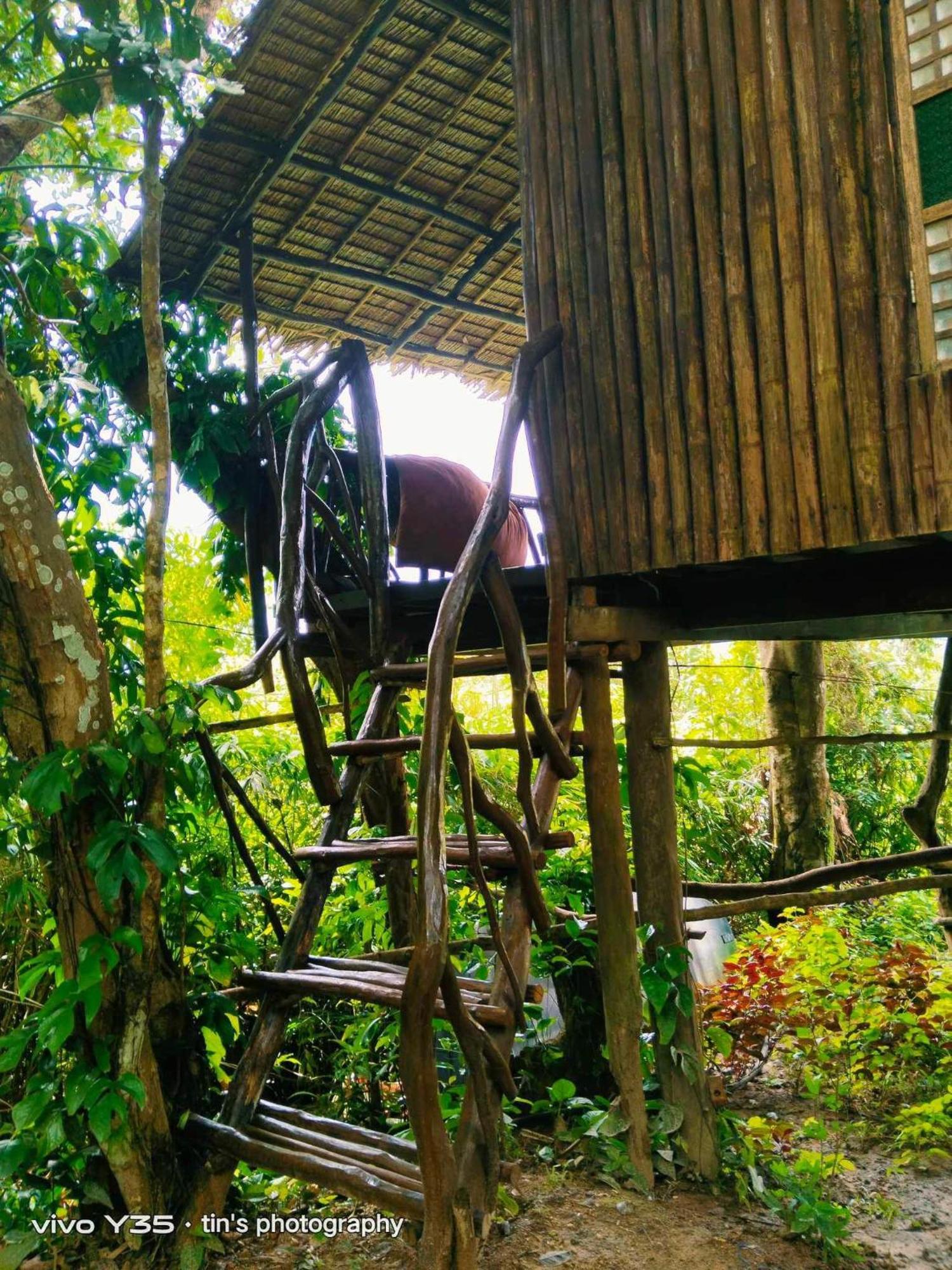 Sanctuaria Treehouses Busuanga Eksteriør bilde