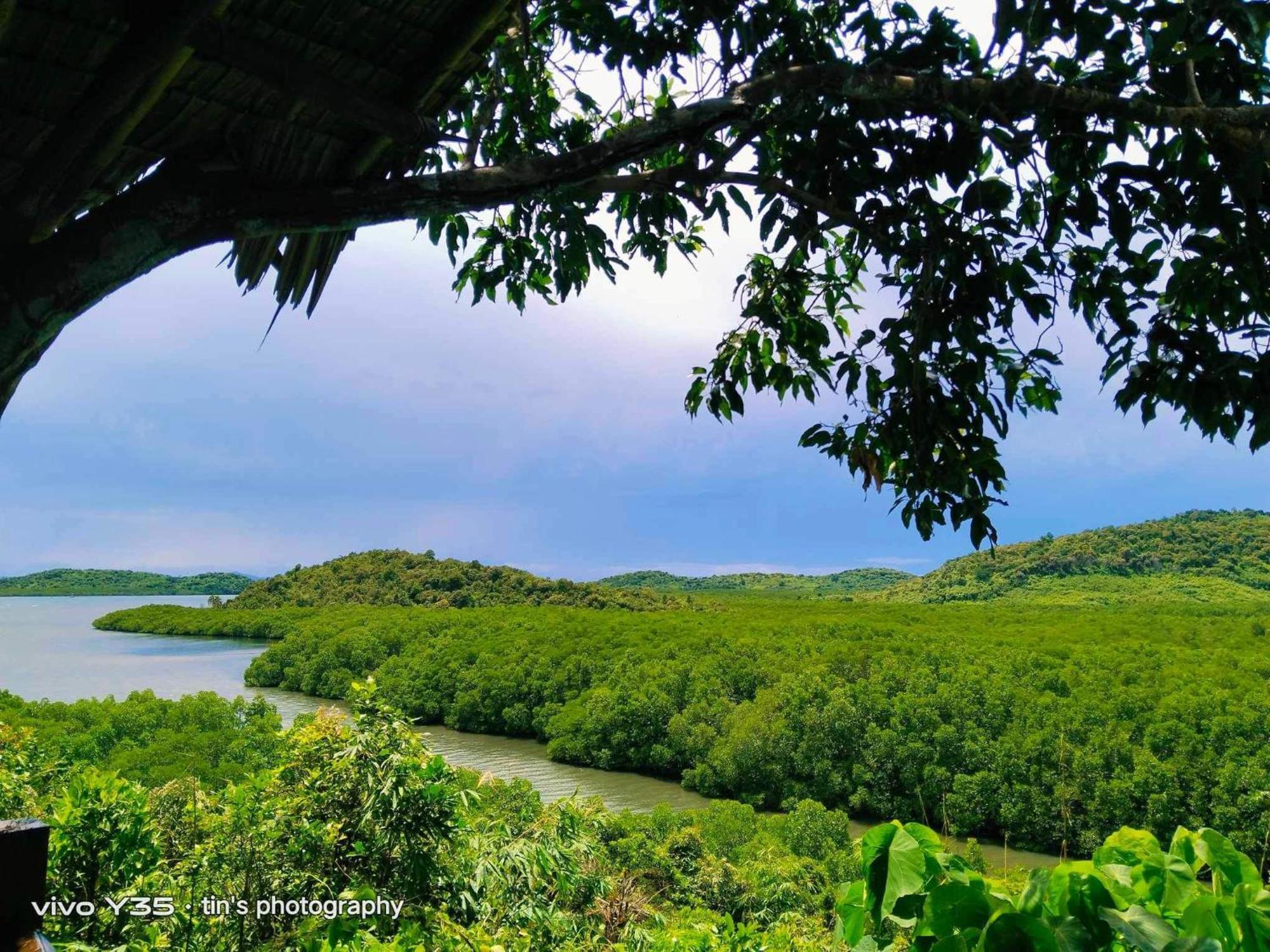 Sanctuaria Treehouses Busuanga Eksteriør bilde