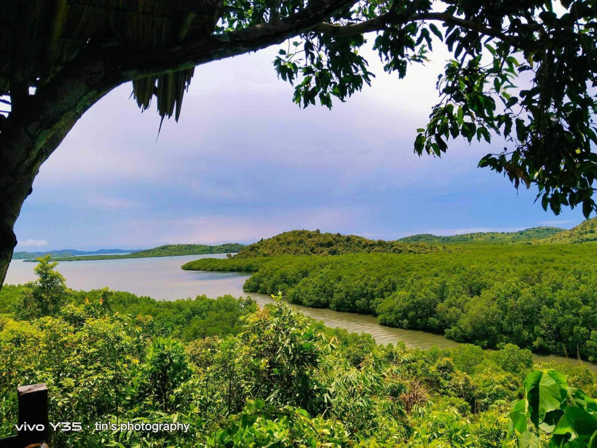 Sanctuaria Treehouses Busuanga Eksteriør bilde