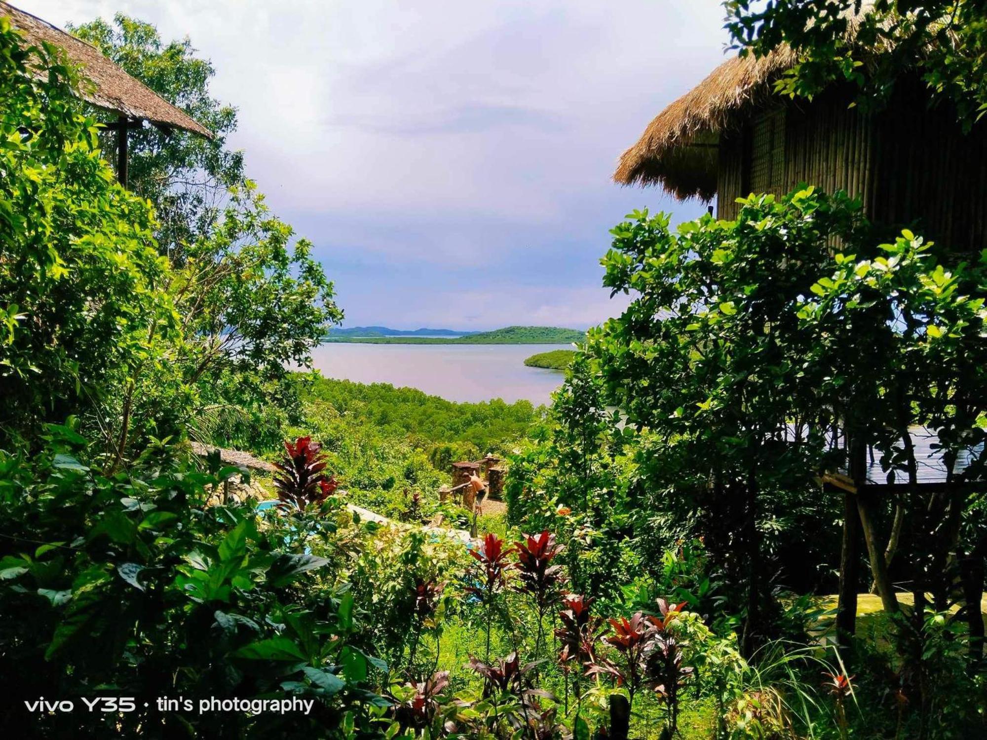 Sanctuaria Treehouses Busuanga Eksteriør bilde