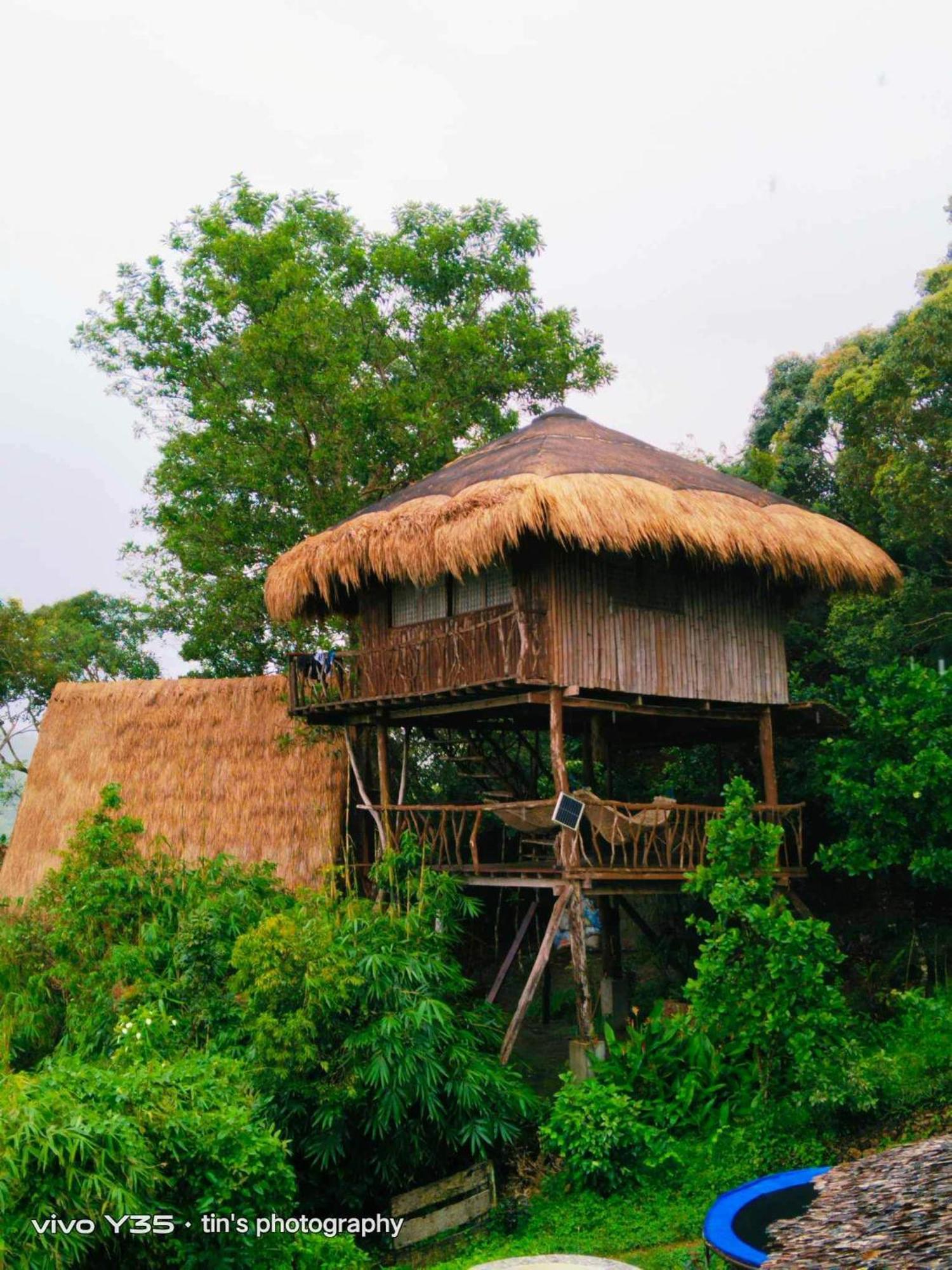 Sanctuaria Treehouses Busuanga Eksteriør bilde