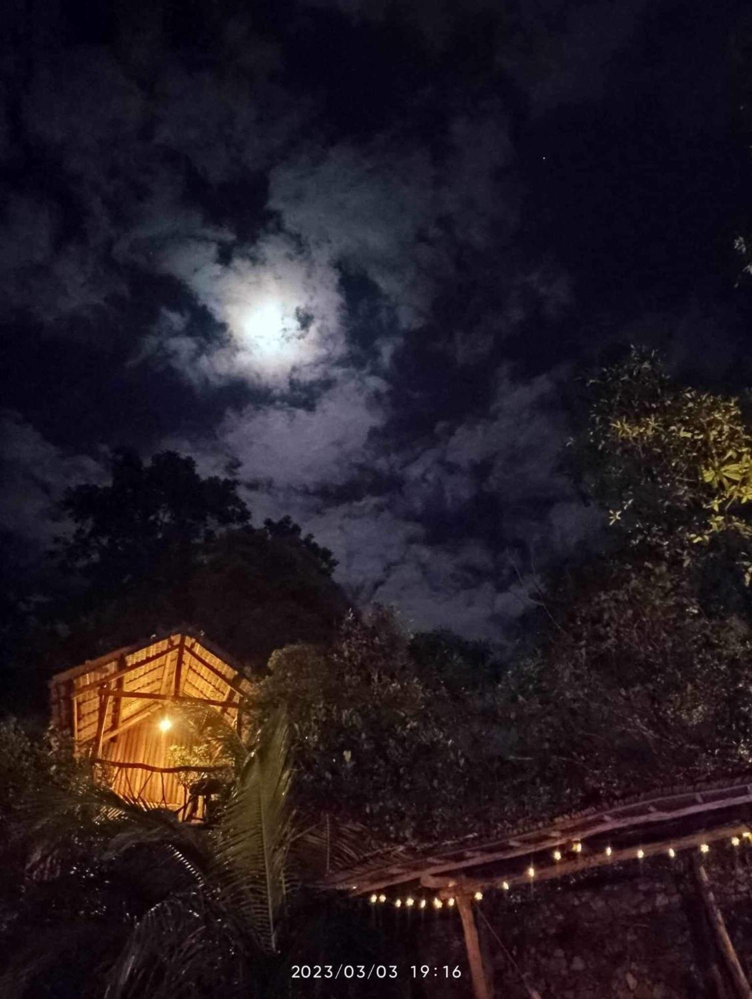 Sanctuaria Treehouses Busuanga Eksteriør bilde