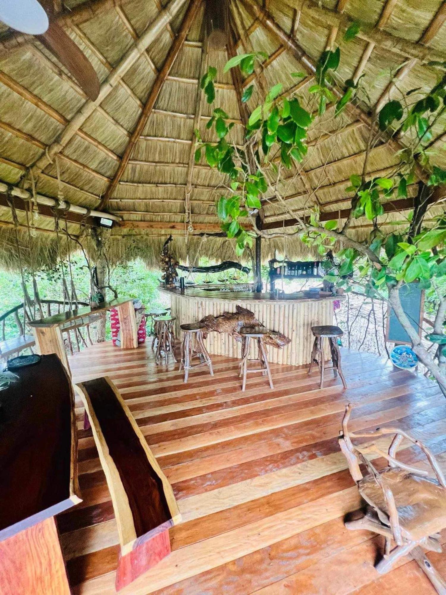 Sanctuaria Treehouses Busuanga Eksteriør bilde
