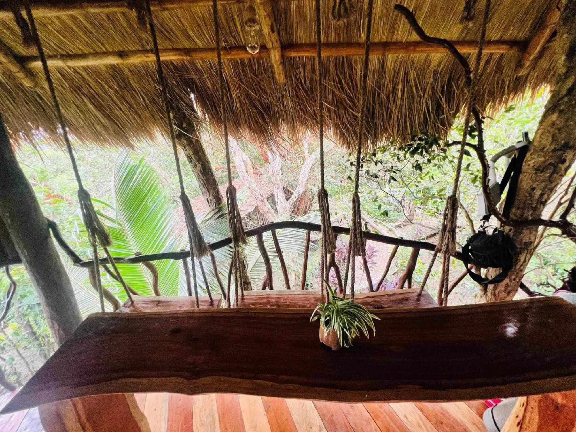 Sanctuaria Treehouses Busuanga Eksteriør bilde